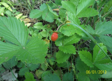 resize_of_100_2684
